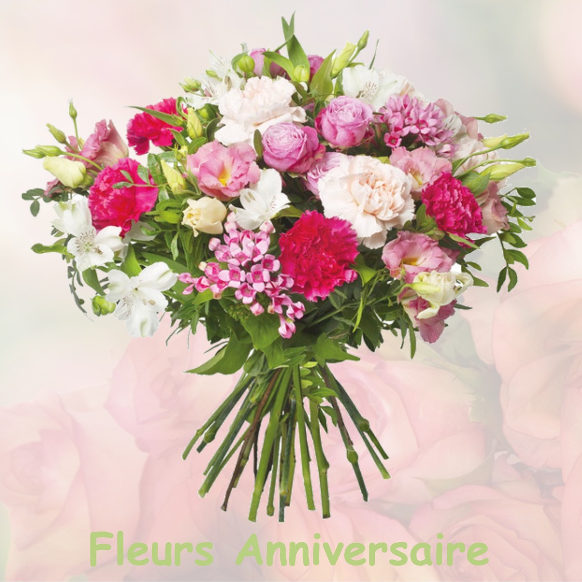 fleurs anniversaire SAINT-LUCIEN